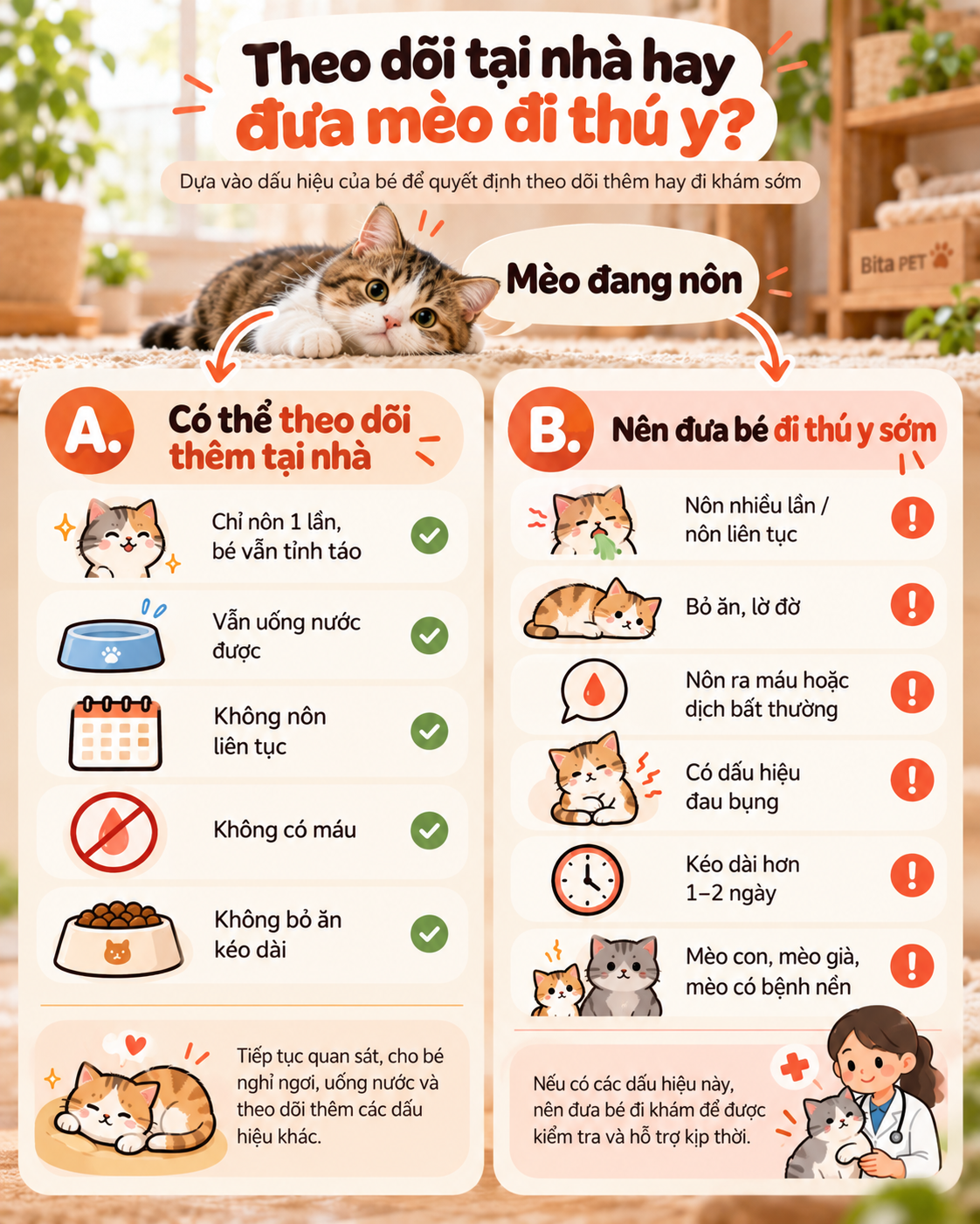 Infographic giúp phân biệt khi nào có thể theo dõi mèo nôn tại nhà và khi nào nên đưa đi thú y