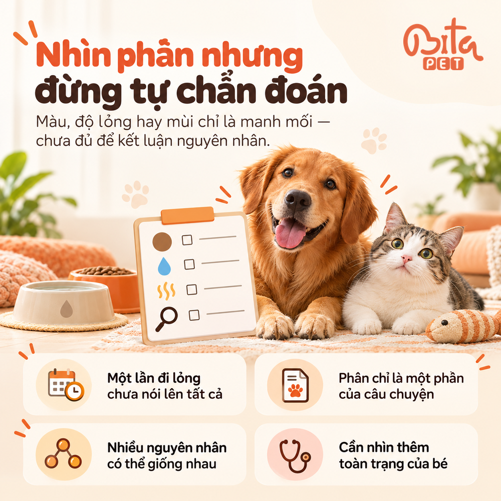 Nhắc người nuôi rằng đặc điểm của phân chỉ là một phần thông tin, chưa đủ để tự kết luận nguyên nhân tiêu chảy