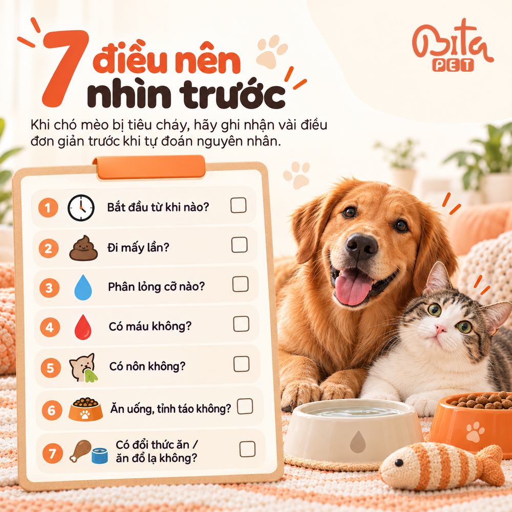 Bảng kiểm bảy điều nên quan sát khi chó mèo bị tiêu chảy, từ thời điểm bắt đầu đến thay đổi thức ăn