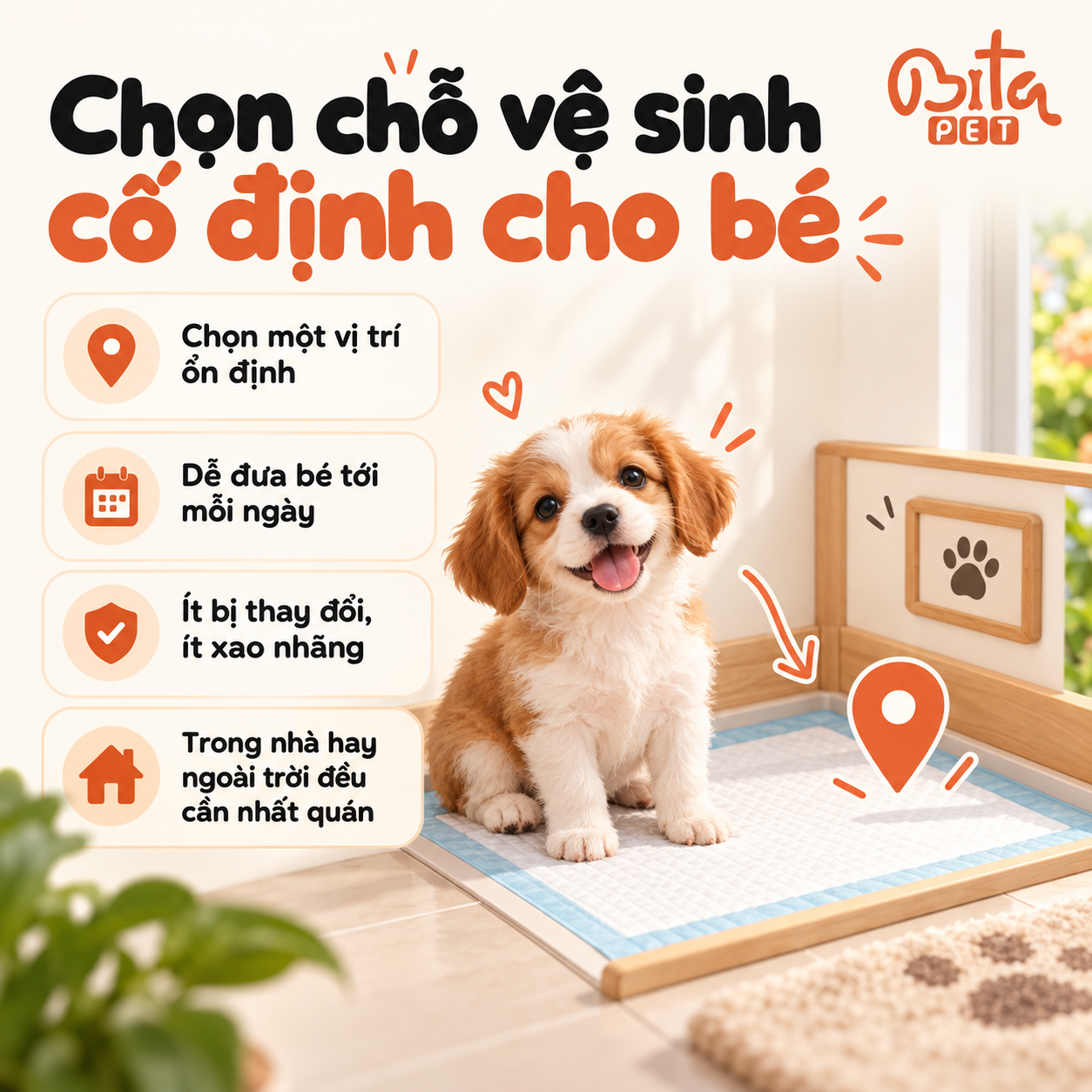 Infographic chọn chỗ vệ sinh cố định cho cún, minh họa khu vệ sinh riêng và các lưu ý nhất quán