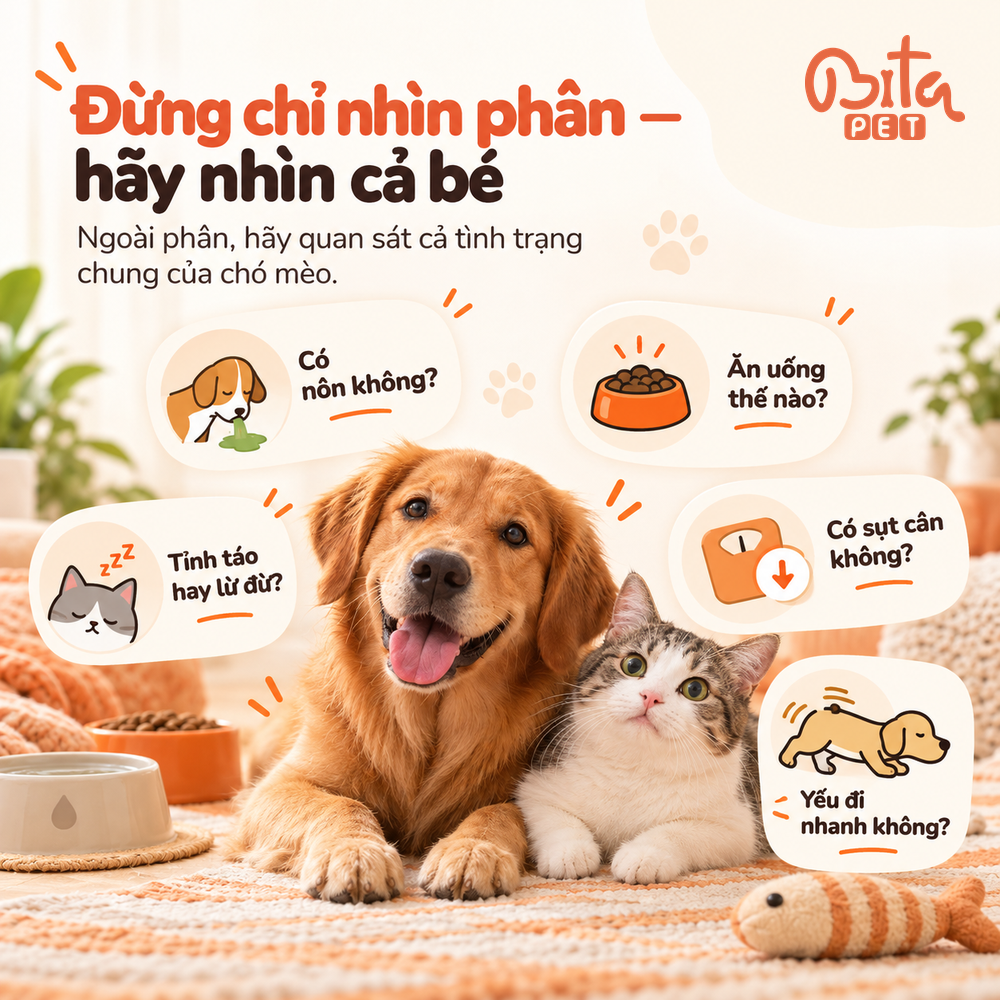 Những biểu hiện đi kèm tiêu chảy cần quan sát như nôn, ăn uống, tỉnh táo và sụt cân