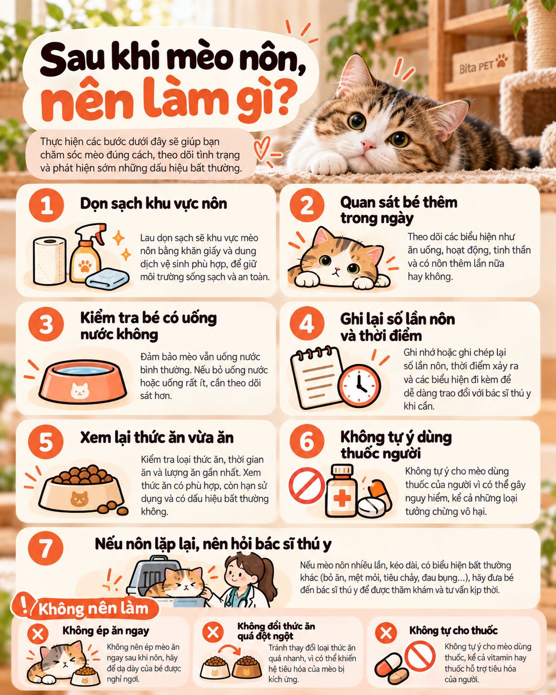 Infographic hướng dẫn những việc nên làm sau khi mèo nôn và các điều không nên tự xử lý tại nhà