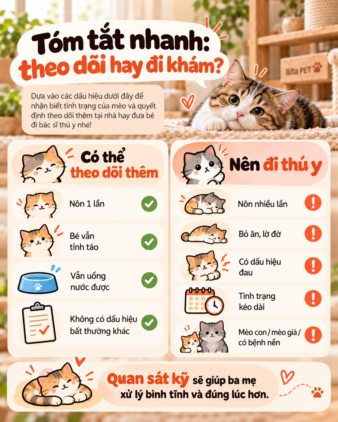 Infographic tóm tắt khi nào nên tiếp tục theo dõi mèo nôn và khi nào cần đưa bé đi thú y