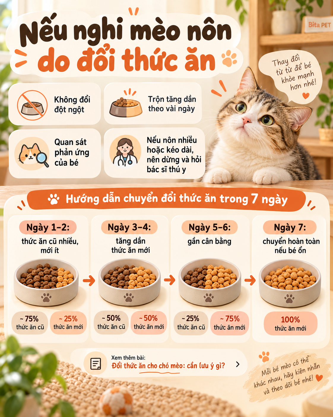 Infographic hướng dẫn chuyển đổi thức ăn từ từ khi nghi mèo nôn liên quan đến việc đổi thức ăn